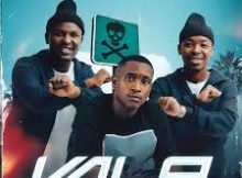 Dankie Boi, GoldMax & Blacks Jnr - Vala ft. Dladla Mshunqisi & Black Catz