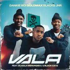 Dankie Boi, GoldMax, Worst Behaviour & Blacks JNR - Vala Gqom feat. Dladla Mshunqisi & Black Catz