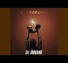 Dj Jaivane & De Rose - Lutho
