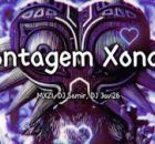 Dj Javi26 - Montagem Xonada (slowed) Ft Mxzi, Dj Samir