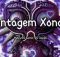 Dj Javi26 - Montagem Xonada (slowed) Ft Mxzi, Dj Samir