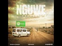 Goon Flavour – Nguwe ft. Master KG & Nokwazi