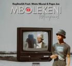 KayDeeSA - Mbolekeni Tiktok Cut [Amapiano Remix] (Feat. Ntate Nkunzi & Papa Joe)