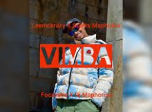 LEEMCKRAZY X SCOTTS MAPHUMA X TAREQ NEXUS - VIMBA 2.0
