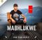 Mabhlukwe - Iyolalibonene (feat. Umafikizolo) (Remix)