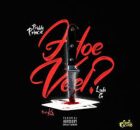 Priddy Prince – Hoeveel ft Luda G