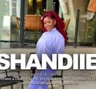 SHANDESH - Shandiie