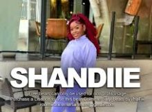 SHANDESH - Shandiie