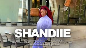 SHANDESH - Shandiie