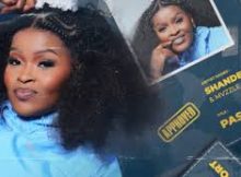 Shandesh – Tshwara Tlhogo (feat. Abi Wa Mampela & Hitboss SA)