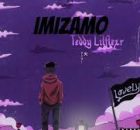 Teddy Lilflex rsa - Imizamo Amapiano Song