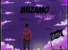 Teddy Lilflex rsa - Imizamo Amapiano Song