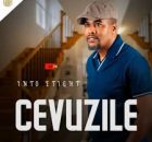 Cevuzile - Awung'shuthele (feat. Shenge Wasehlalankosi)