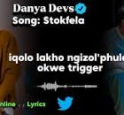 Danya Devs - Stokfela