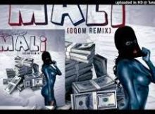 Deejay Zebra SA – Mali (Gqom Remix)
