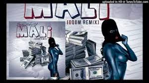 Deejay Zebra SA – Mali (Gqom Remix)