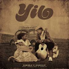 Gubhela ft Ayarhkay - Yilo