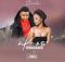 Inkosi Yamagcokama ft Sbahle – Stimela