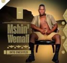 Mshini Wemali - Ithathe