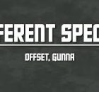Offset, Gunna - Different Species