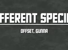 Offset, Gunna - Different Species