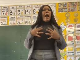 SA Teacher - These are my private parts song