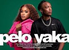 Shandesh - Pelo Yaka