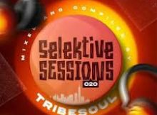 TribeSoul – Selektive Sessions 020 Mix