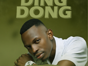 Abi wa Mampela – Ding Dong ft Hitboss SA, Janesh, Phobla On The Beat, Prince Zulu