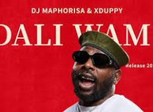DJ Maphorisa & TYLA - Dali Wam (Feat Kabza De Small, Babalwa M, ZABA, XDUPPY, Dlala Thuksin, Jnr Sa)