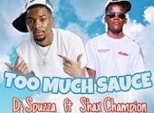 Dj Spuzza ft Shax Champion - TOO MUCH SAUCE