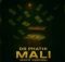 Dr Phathi - Mali (Gqom Version)