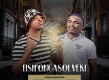 Fish'Ongasolveki - Ngang'fisa (feat. Shenge Wasehlalankosi)