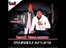 Inkosi Yenhlanzeko - Ungishela Kanjani ft Phunyuka