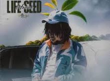 Intence - Life Seed