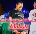 Janesh - Makoti ft Lepaka & Hitboss RSA