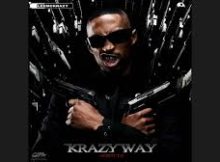 LeeMcKrazy x King P - AmaGlobe feat. Pcee, Scotts Maphuma, Mpho Spizzy