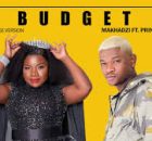 Makhadzi - Budget (feat. Prince Benza)