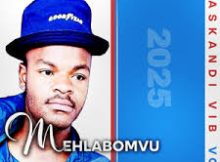 Mehlabomvu - ungilwisa kanjani
