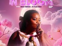 Minollar New Ep 2025 - In Bloom