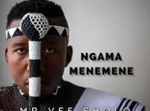 Mr Vee Sholo - umalume (Umadam)