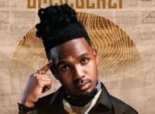 MusiholiQ – Umsebenzi