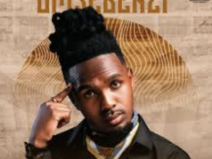 MusiholiQ – Umsebenzi