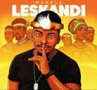 Mvzzle – Leskandi