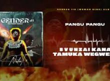 Nisha Ts - Pangu Pangu