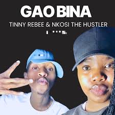 Nkosi The Hustler SA ft Tinny Rebee - Gao Bina 