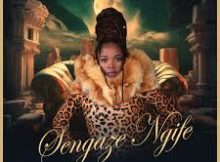 Nomanzi - Sengaze Ngife