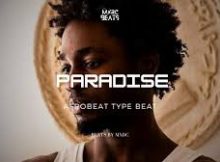 Omah Lay Ft FOLA x BNXN - PARADISE
