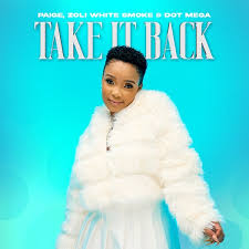 PAIGE & ZOLI WHITE SMOKE & DOT MEGA - Take it back