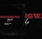 PRO TEE - Uyoncengwa unyoko (Umgido Gqom Remake)